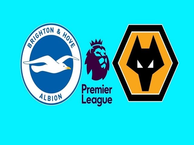 Soi kèo bóng đá trận Brighton vs Wolves, 00:30 – 03/01/2020