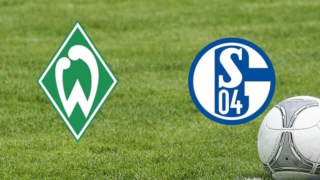 Soi kèo bóng đá trận Werder Bremen vs Schalke, 21h30 – 30/01/2021